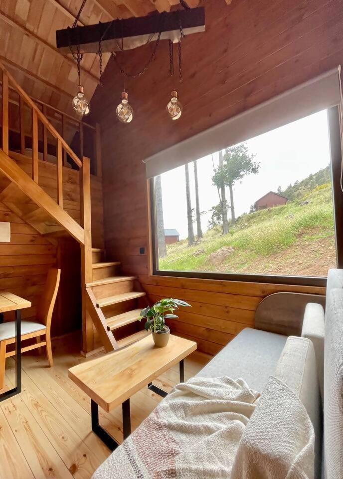 Hotel Mountain Eco Shelter 7 Funchal  Exterior foto